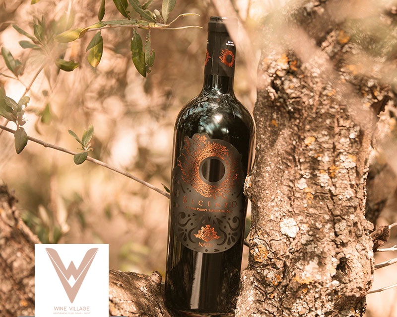 cách uống Rượu vang đỏ BICENTO Nativ đúng cách